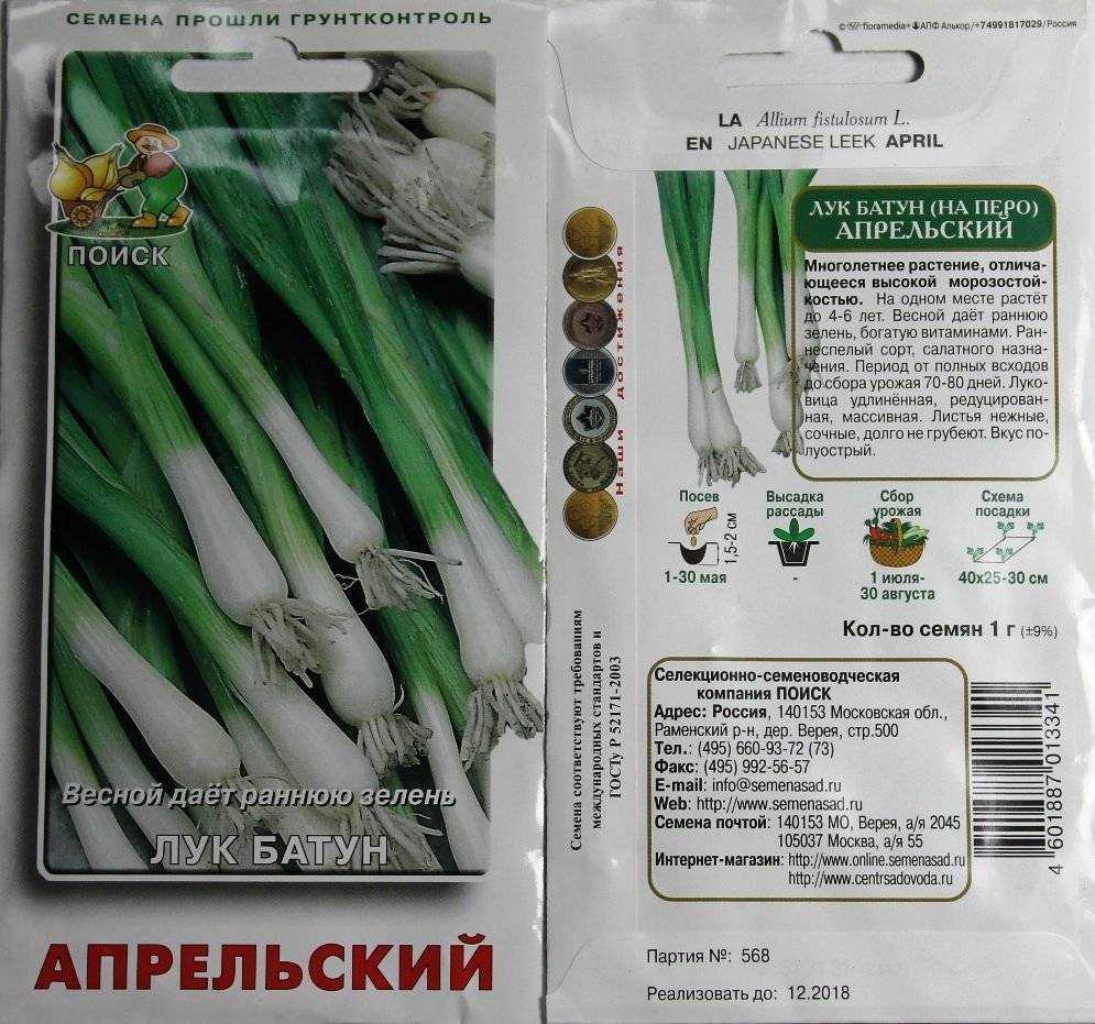 Апрельский лук-батун: посадка и выращивание из семян — как сажать лук батун семенами — про огород
