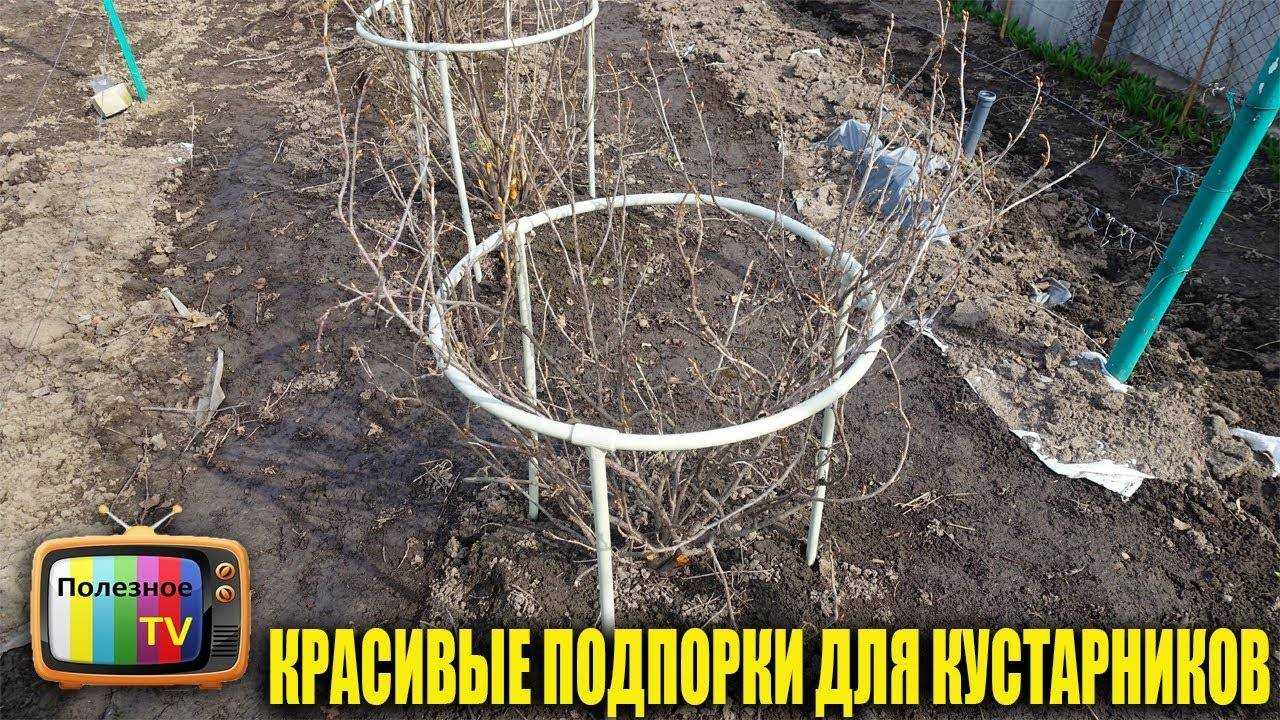 Как сделать опоры для кустов