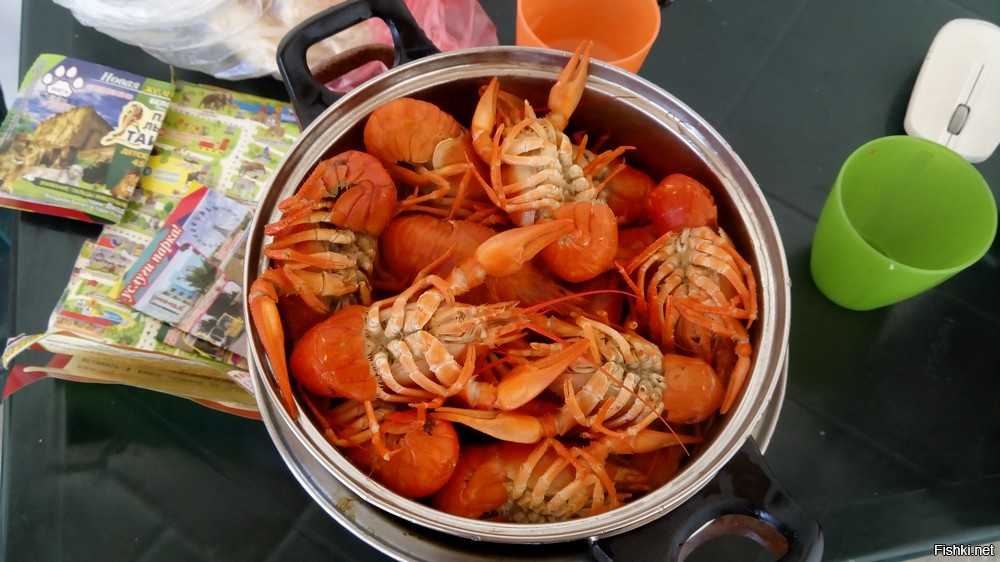 Раки вареные: рецепты и советы как вкусно варить живых раков
