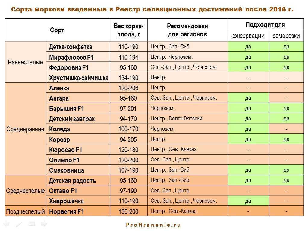 Как хранить морковь в холодильнике, свежей, чтоб не вяла и не дрябла
