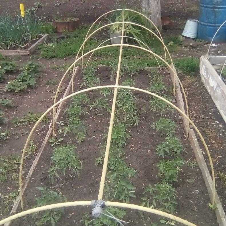 Парник из стеклопластиковой арматуры своими руками