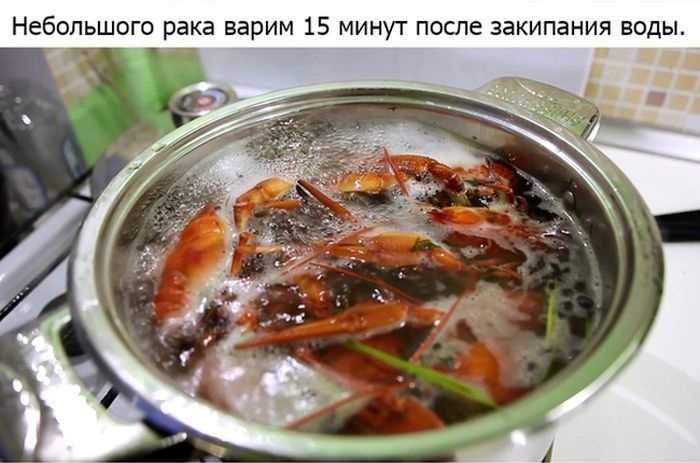 Как варить раков правильно и вкусно