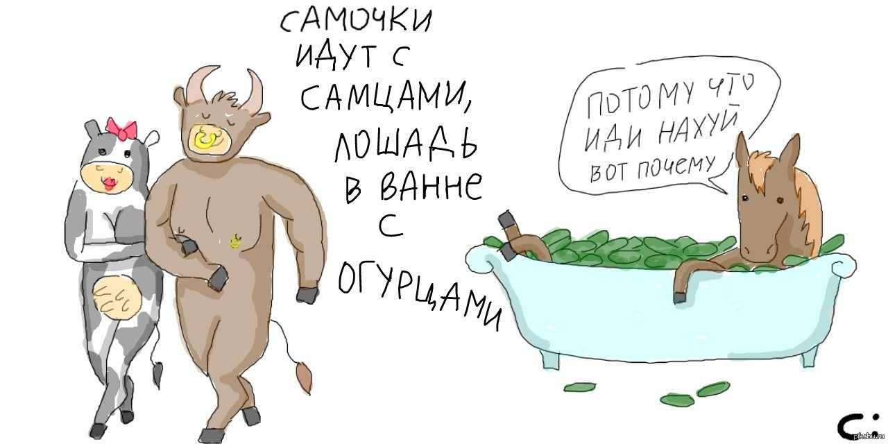 Что значит лошадь в ванне с огурцами?