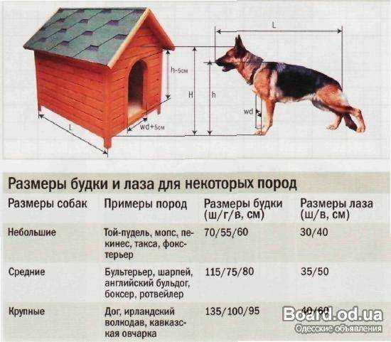 Как самостоятельно построить будку овчарке: высота, размер, чертёж, утепление