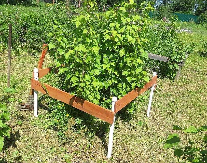 Как сделать подпорки для плодовых кустарников своими рукми