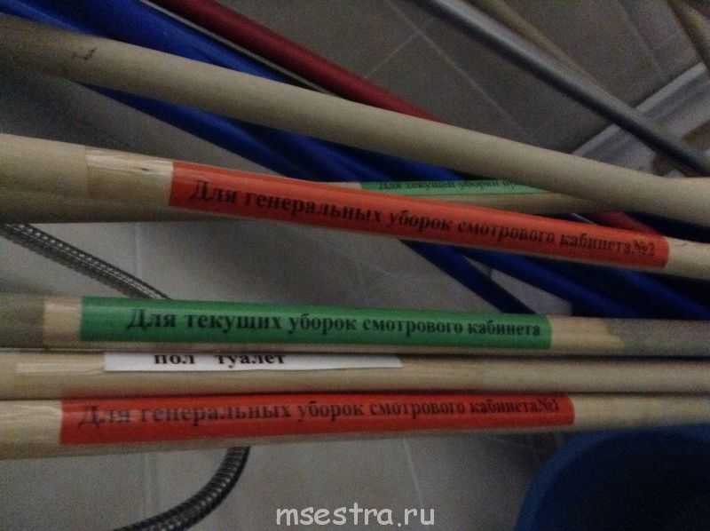 Новый санпин для школьной столовой в 2023 году