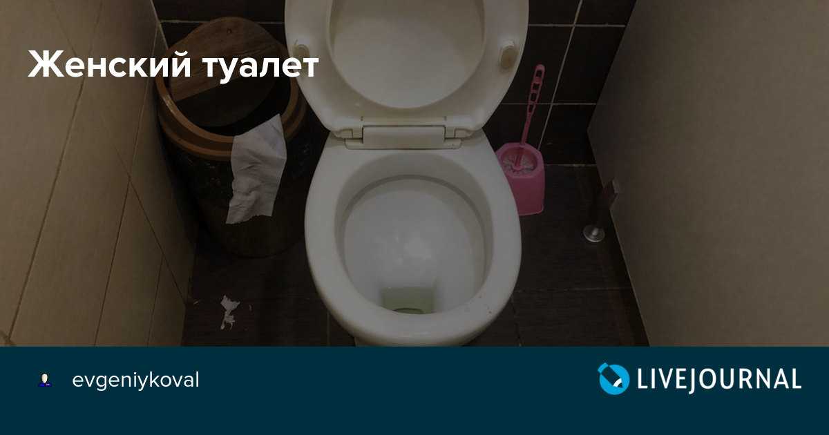 Установил камеру в унитазе дамского туалета