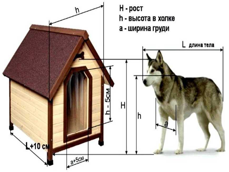 Будка для немецкой овчарки – зачем нужна, где поставить, как сделать