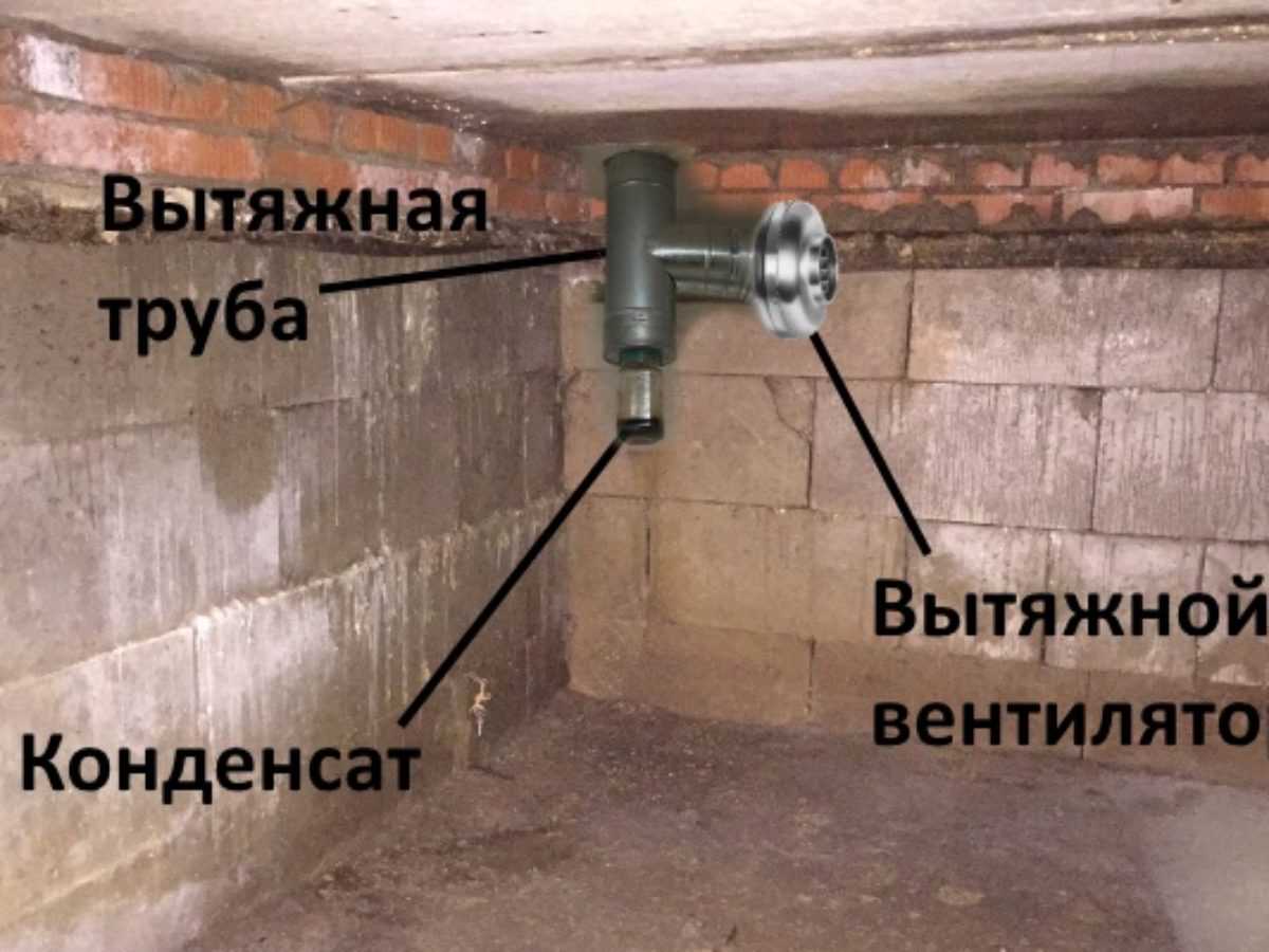 Как избавиться от конденсата в погребе?