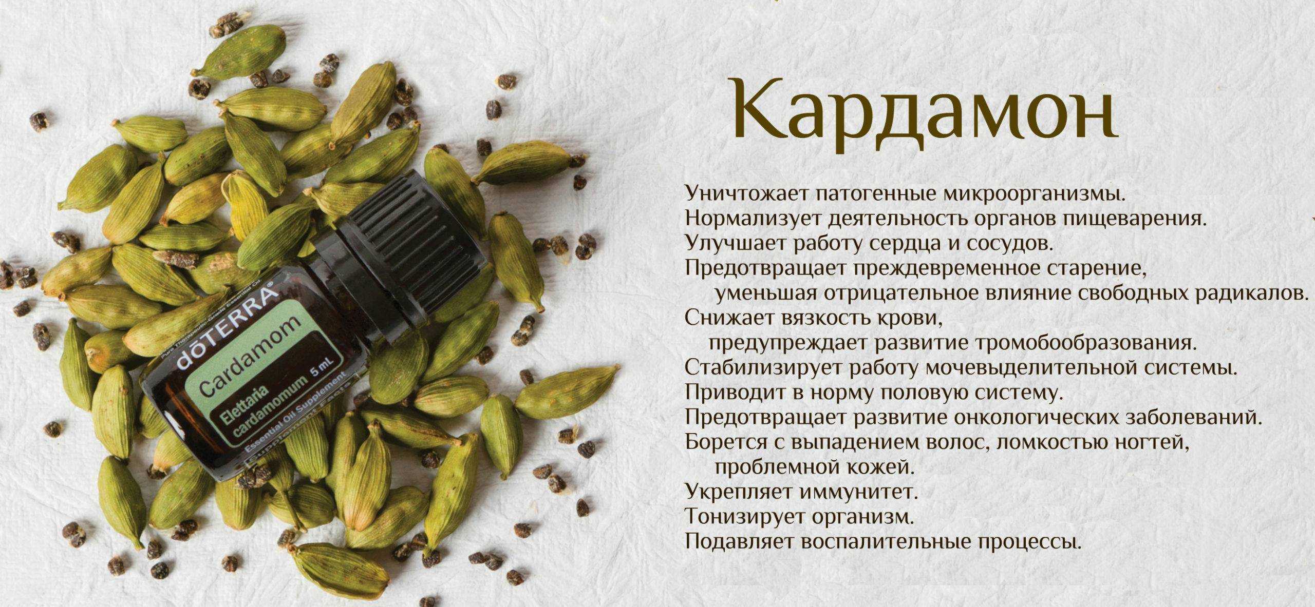 Вытяжка из золы для подкормки растений: правила и способы приготовления