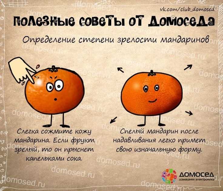 Генеральная уборка дачного участка: как навести порядок на даче