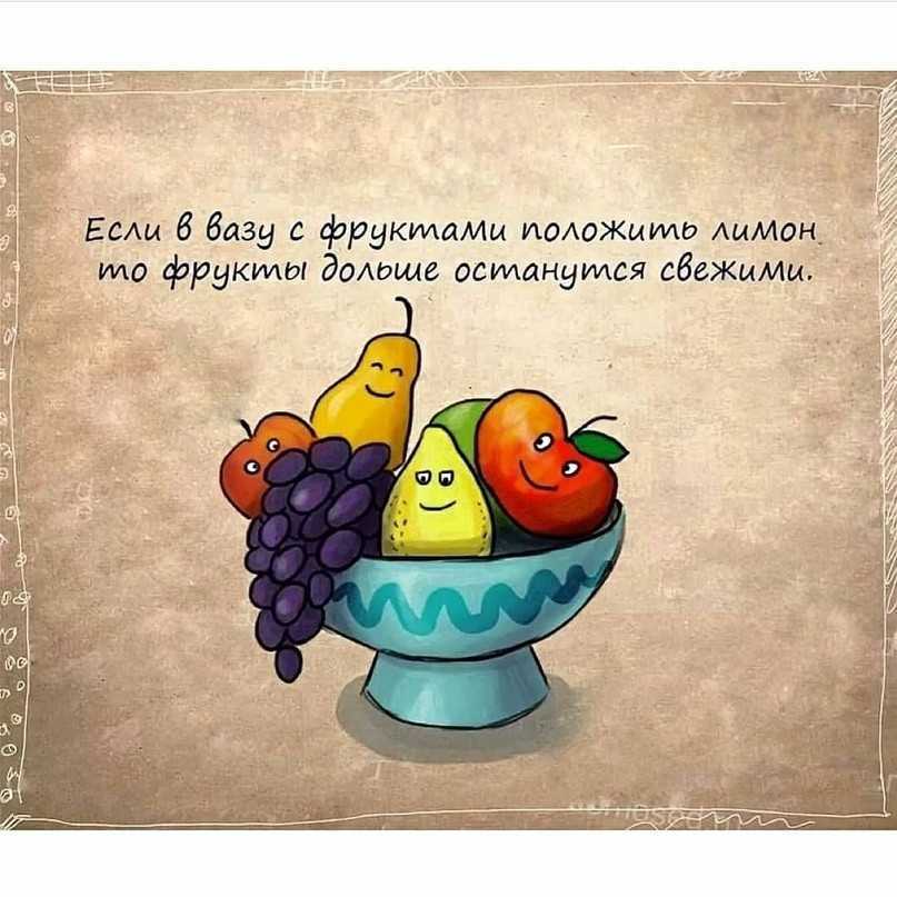 Где и как хранить заготовки на зиму в квартире