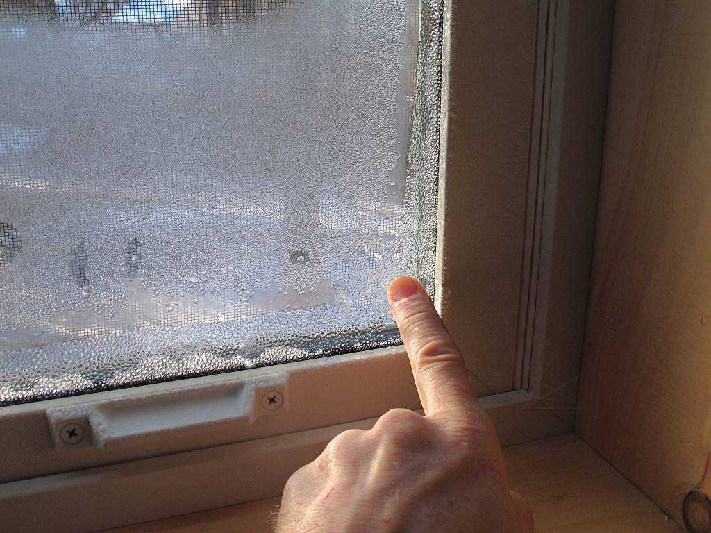 Почему из духового шкафа течет конденсат и как это исправить