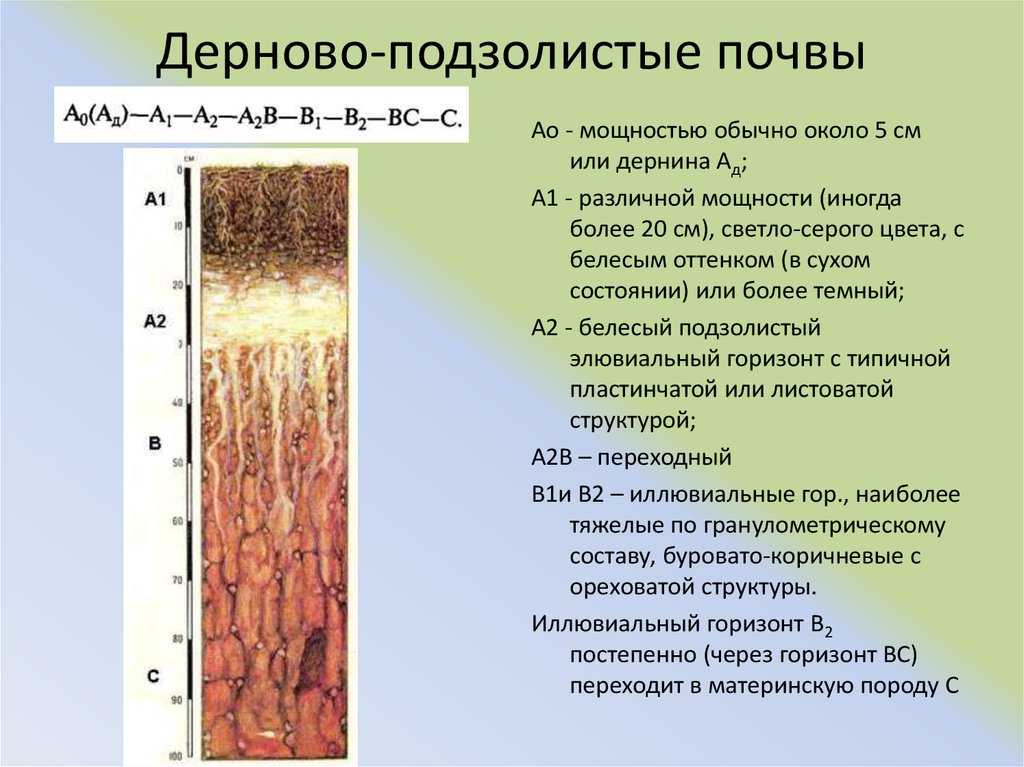 Правильный фундамент на суглинке - долговечность основания дома