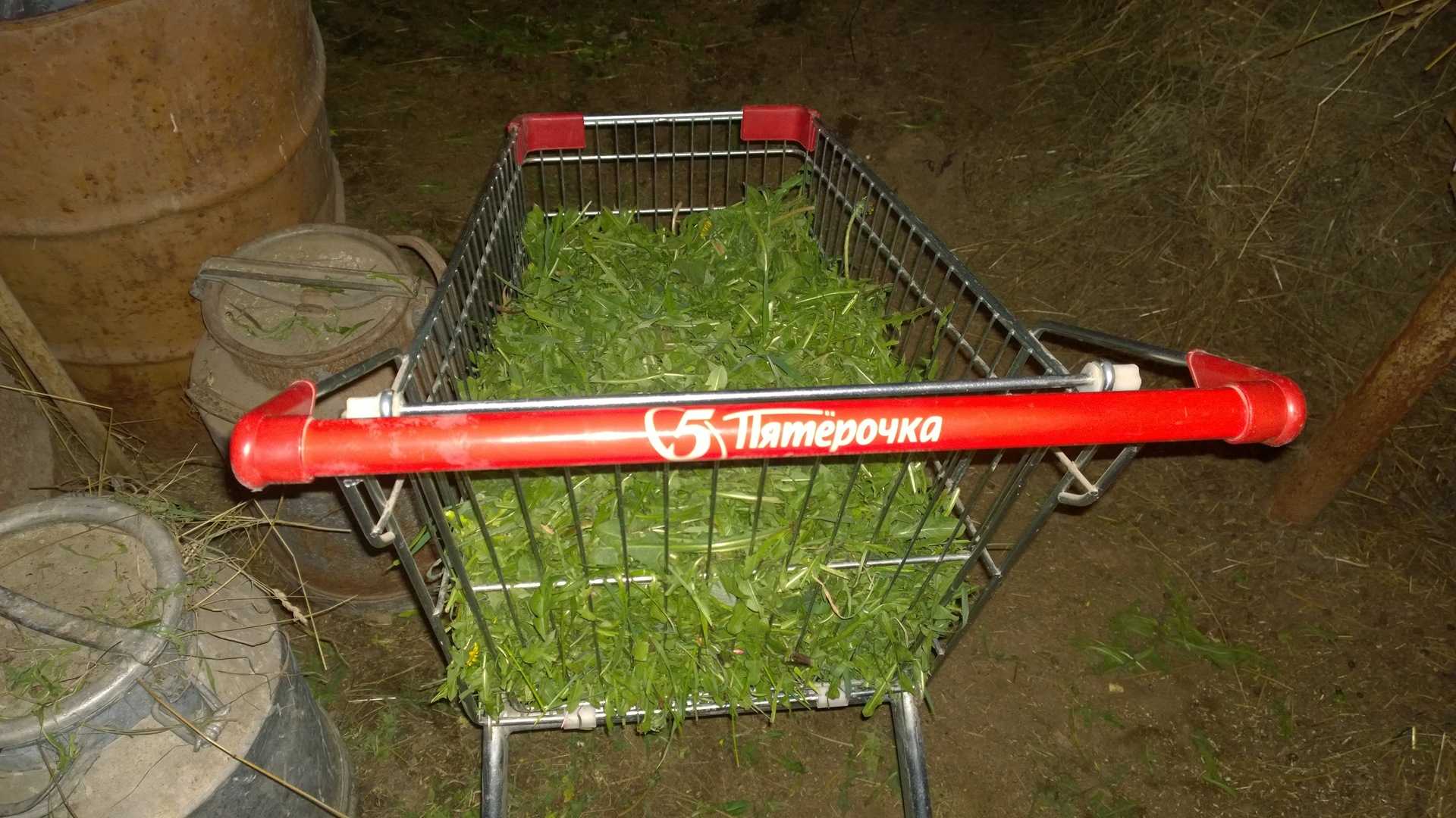 Из магазинной тележки своими руками