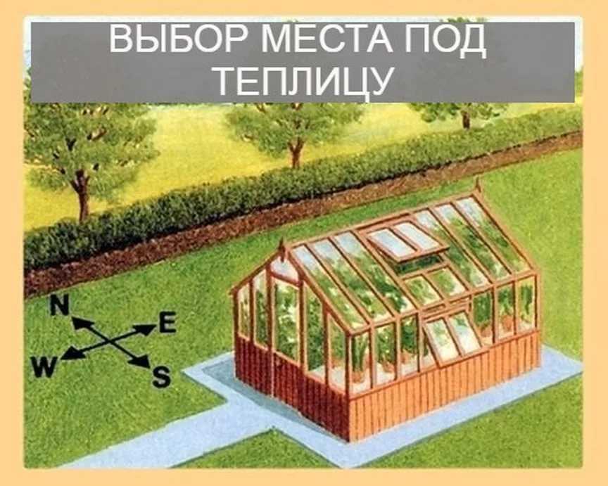 Особенности планировки огорода на участке - советы от специалиста!