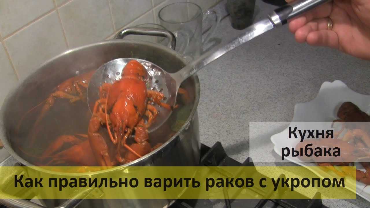 Как правильно варить раков в домашних условиях — 5 лучших рецептов приготовления варёных раков