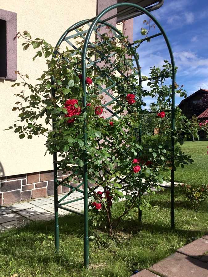 Шпалера — dizaindachi.ru