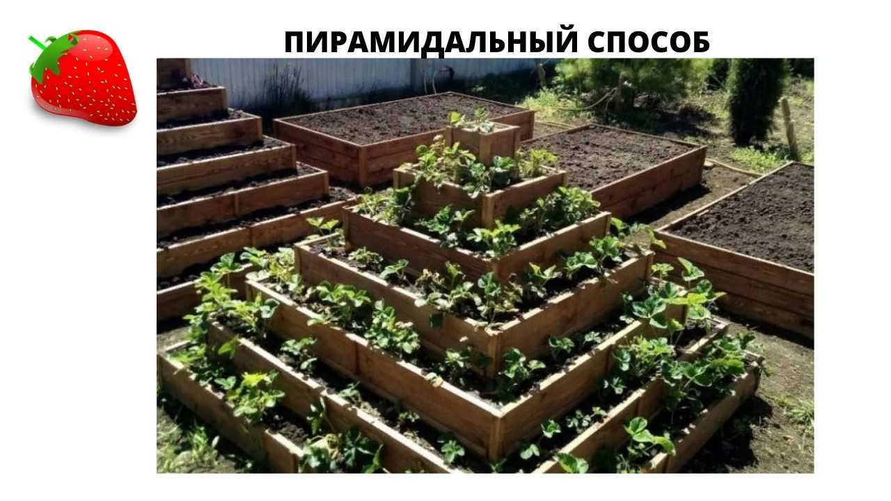 Грядки своими руками из пластиковых панелей для дачи: как сделать ограждение